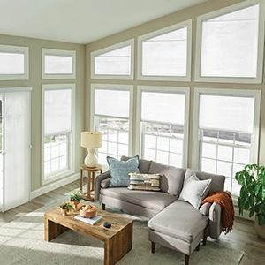 Cellular shades in special shaped windows within a large sunroom